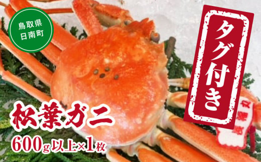 【チルドでお届け】【ボイル】境港水揚げ タグ付き松葉ガニ (600g以上×1枚) 魚々魚厳選 松葉がに 松葉蟹