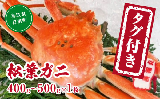 【チルドでお届け】【ボイル】境港水揚げ タグ付き松葉ガニ (400～500g×1枚) 魚々魚厳選 松葉がに 松葉蟹