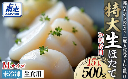 【年内配送】特大「生」ほたて 500g（15玉） 【 ふるさと納税 人気 おすすめ ランキング ホタテ ほたて 生ホタテ 生ほたて 帆立 生帆立 海鮮 未冷凍 Mサイズ 貝類 ギフト 贈答 贈り物 自宅用 家庭用 500g オホーツク 北海道 網走市 送料無料 】 ABAE008