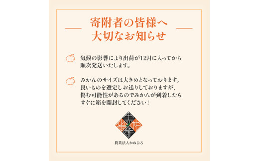 かねひろの黒酢みかん 【2023年 第1位ふるさとチョイス みかん 部門】10.3kg 2S～2L 新鮮 黒酢 アミノ酸 みかん 蜜柑 ミカン 柑橘  果実 フルーツ 人気 おすすめ 10kg 佐賀県 太良町 N77 - 佐賀県太良町｜ふるさとチョイス - ふるさと納税サイト