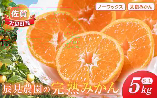 辰見農園の完熟みかん 5kg みかん ミカン 蜜柑 温州みかん 完熟みかん 甘熟 柑橘 有機栽培 国産 こだわり ノーワックス 贈答品 産地直送 詰め合わせ 佐賀県産 太良町
