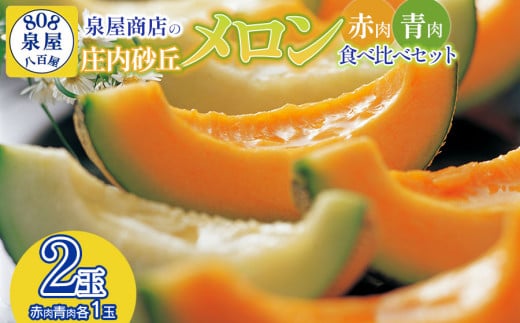 【令和7年産先行予約】泉屋商店の庄内砂丘メロン 赤肉・青肉 食べ比べセット 2玉　K-717 1675697 - 山形県鶴岡市