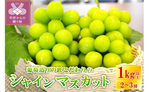 雲の上のぶどう園 シャインマスカット 約1.2kg 2～3房 【先行予約 2025年10月中旬から順次発送】 - 岡山県新見市｜ふるさとチョイス -  ふるさと納税サイト