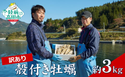 【12月後半発送】先行予約 訳あり 殻付き牡蠣 生食用 約3kg 【 牡蠣 かき カキ 殻付き 生食 数量限定 国産 三陸産 広田湾 小友 大和水産 】RT2626  1582013 - 岩手県陸前高田市