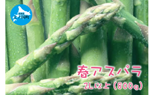 【2025年春発送】北海道上ノ国町産 刀祢農園の朝採れ春アスパラ　2L以上（800g） 1494784 - 北海道上ノ国町