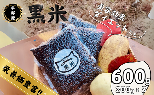 宇部市産 黒米 200g × 3袋　[600g] 【黒米 山口県産 宇部市 おくのむらさき 天日干し 手植え米 健康食材 米 ご飯 霜降山 自然農法 美味しい黒米 栄養豊富 モチモチ黒米 和食用米 雑穀ご飯 雑穀米 美容米 お取り寄せ米】