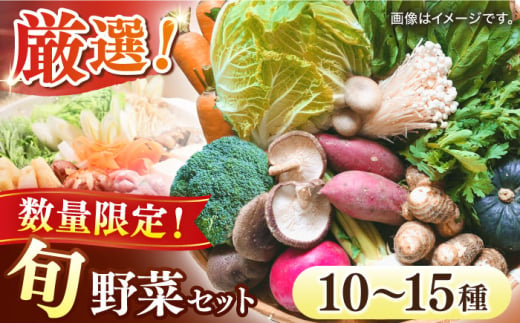 【数量限定】厳選！旬を味わう高槻野菜おまかせ詰め合わせセット（10種～15種）　大阪府高槻市/高槻あぐり [AOCS006]