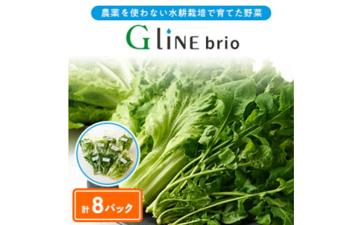 ＜毎月定期便＞G Line brio レタス8パックセット全3回【4056836】