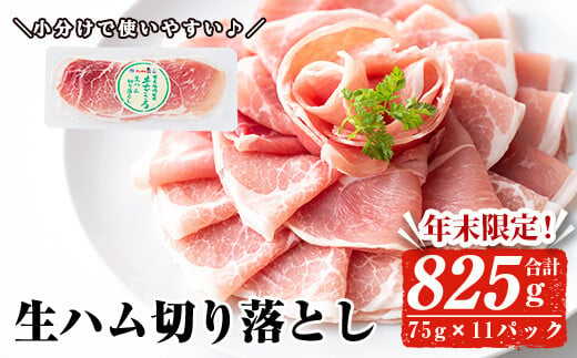 【年末限定企画！】＜2025年1月中に発送予定＞国産豚生ハム切り落とし75g×10P＋1P(計825g) 生ハム おつまみ 小分け 【ナンチク】A302-01-v02