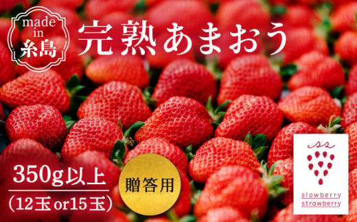 【数量限定】完熟あまおう・贈答用 12玉または15玉 糸島市 / slowberry strawberry [APJ009]