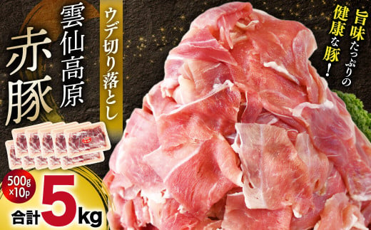 雲仙高原 赤豚 国産 豚ウデ 切り落とし 5kg（500g×10p ） 長崎県/長崎県農産品流通合同会社 [42AMAE005] 大容量 小分け しゃぶしゃぶ 豚