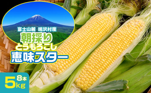 ＜25年発送先行予約＞富士山麓 鳴沢村産 朝採り とうもろこし【恵味スタ－】8本 NSH003