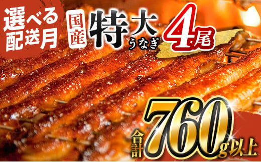 ＜お届け月が選べる!!＞数量限定 特大 うなぎ 鰻楽 国産 蒲焼 4尾 人気 無頭 計760g以上 高評価 おすすめ 冷凍 簡単調理 個包装 鰻 魚介 贈答品 ギフト 贈り物 期間限定 2025年2月にお届け【C388-202502】