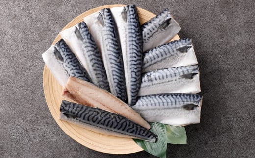 【訳あり規格外】  業務用 無添加 無塩さば 1kg 鯖 さば サバ 魚 お魚 さかな 魚介 魚介類