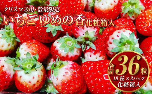 【12月23日着】  いちご ゆめの香 36粒 （18粒×2パック） 化粧箱入 【クリスマス用・数量限定】【贈答用】 ｜ イチゴ 苺 ゆめの香 フルーツ 果物 クリスマス 贈答用 ギフト 