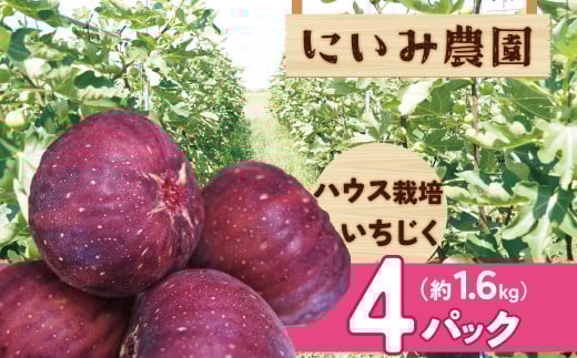 【ハウス栽培】朝もぎ フレッシュな完熟いちじく 碧南市 にいみ農園 フルーツ いちじく トマト農家 H031-006
