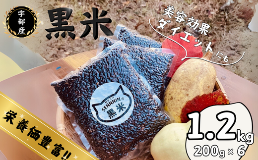 宇部市産 黒米 200g × 6袋 [合計1.2kg] 【黒米 山口県産 宇部市 おくのむらさき 天日干し 手植え米 健康食材 米 ご飯 霜降山 自然農法 美味しい黒米 栄養豊富 モチモチ黒米 和食用米 雑穀ご飯 雑穀米 美容米 お取り寄せ米】