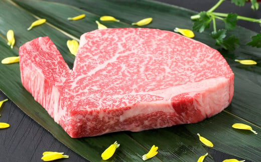 熊本県産 黒毛和牛 ヒレステーキ 200g 国産 熊本 和牛 牛肉 牛 ヒレ ステーキ 肉 お肉 冷凍