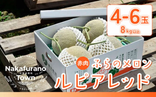 【2025年発送】ふらのメロンルピアレッド（赤肉）8kg以上 310309 - 北海道中富良野町