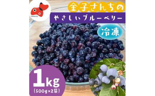 山あいで育ったやさしい甘さ。冷凍ブルーベリー＜植物性堆肥使用＞500g×2袋【1573250】