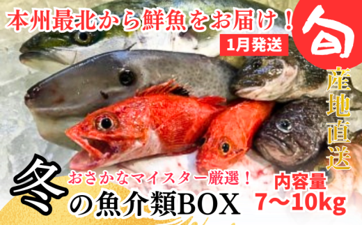 【1月発送開始】おさかなマイスター厳選　冬の魚介類BOX　(M)