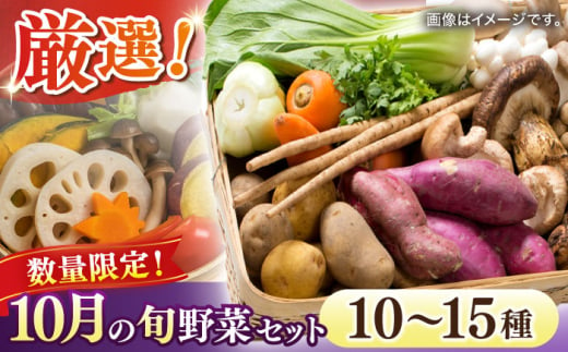 【数量限定】厳選！旬を味わう高槻野菜おまかせ詰め合わせセット 10月（10種～15種）　大阪府高槻市/高槻あぐり [AOCS016]