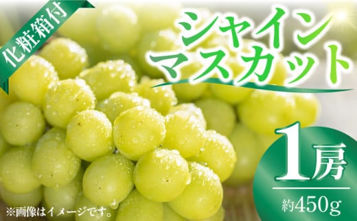 数量限定】深蒸し茶 上級茶 詰合せ 100g×7本セット 【有限会社 佐とう製茶】深むし茶 上級深蒸し茶 お茶セット 熊本 茶 [ZAS002] -  熊本県山鹿市｜ふるさとチョイス - ふるさと納税サイト