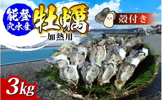 鮮度抜群！獲れたてをお届け！ 能登穴水の牡蠣(殻付)加熱用３ｋｇ 718157 - 石川県穴水町