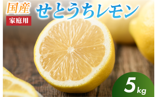 せとうちレモン　今治産　5kg【K002320KG5】 1540382 - 愛媛県今治市