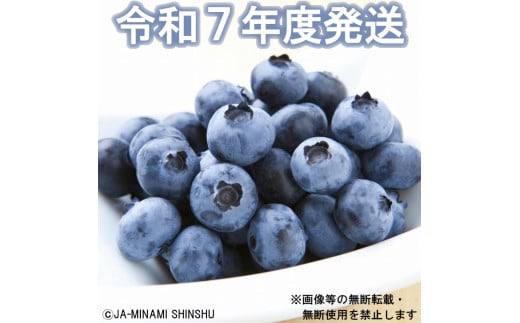 7-J30 ブルーベリー 秀3L 100gパック×10入り 1687382 - 長野県喬木村