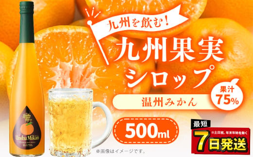 「年内発送」九州を飲む！九州果実 シロップ 温州みかん 500ml 1本 約25杯分 フルーツ 果物 ジュース 864826 - 熊本県水俣市