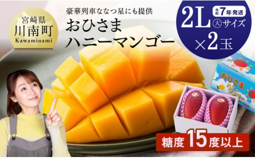 【令和7年発送】宮崎県産完熟マンゴー「おひさまハニーマンゴー」2L（大）×2玉 【 果物 フルーツ マンゴー 宮崎県産 完熟マンゴー みやざきマンゴー 先行予約 数量限定 期間限定 】