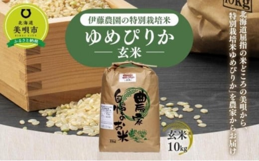 【令和6年産】玄米（10kg）伊藤農園の特別栽培米ゆめぴりか 【定期便5ヶ月】