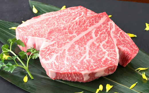 熊本県産 黒毛和牛 ヒレステーキ 400g （200g×2パック） 国産 熊本 和牛 牛肉 牛 ヒレ ステーキ 肉 お肉 冷凍