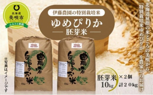 【令和6年産】伊藤農園の特別栽培米ゆめぴりか 胚芽米20kg（10ｋｇＸ2袋）