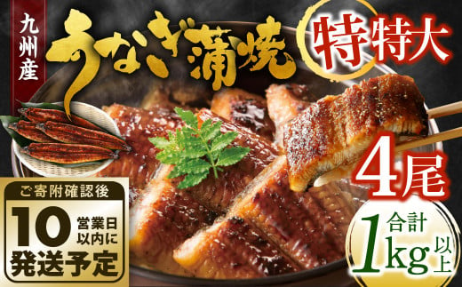 九州産 うなぎ蒲焼 特特大4尾 (1尾あたり250～266g) 合計：1kg以上 1182194 - 福岡県北九州市