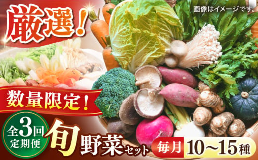 【全3回】【数量限定】厳選！旬を味わう高槻野菜おまかせ詰め合わせ定期便（10種～15種）　大阪府高槻市/高槻あぐり [AOCS019]