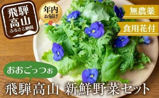 [年内配送が選べる]飛騨高山野菜『おおごっつぉ』詰合せ 葉物野菜 葉物 ミックスリーフ わさびな フラワーサラダ 無農薬野菜 無農薬 年内発送 発送時期が選べる 飛騨高山 Ferme du Soleil HS001VP