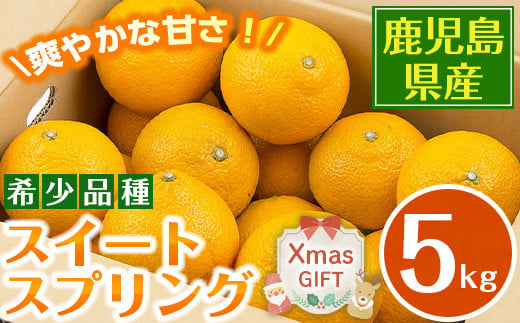  i1068-Xm 【クリスマスギフト】スイートスプリング (約5kg)   鹿児島県産 みかん スイートスプリング 柑橘 果物 くだもの フルーツ 旬 ミカン オレンジ 数量限定 期間限定 ギフト 贈り物 贈答 プレゼント クリスマス 【江崎果樹園】