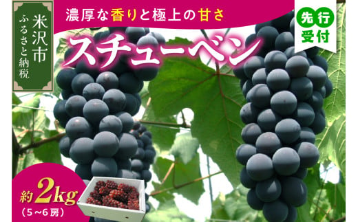 《 先行予約 数量限定 》 【 令和7年産 】 スチューベン 2kg 5 ～ 6房 ぶどう 〔 9月下旬 ～ 10月下旬頃お届け 〕 2025年産 農家直送 産地直送 1319942 - 山形県米沢市