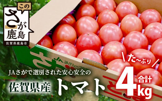 佐賀県農業協同組合　佐賀県産トマト約4kg【3月上旬～5月下旬随時出荷予定】 JAトマト [野菜 トマト 新鮮 サラダ 生野菜 とまと栄養 おすすめ 送料無料]B-805