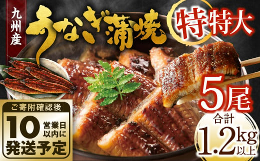 【年内配送】九州産 うなぎ蒲焼 特特大5尾 (1尾あたり250～266g) 合計：1.2kg以上 1182195 - 福岡県北九州市