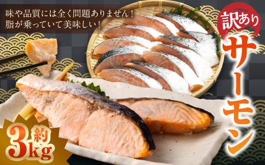 【 訳あり 】 骨取 サーモン（メラニンサーモン） 約3kg 魚 魚貝類 魚介 さかな サカナ お魚 アトランティックサーモン さけ 鮭 冷凍 1459625 - 茨城県神栖市