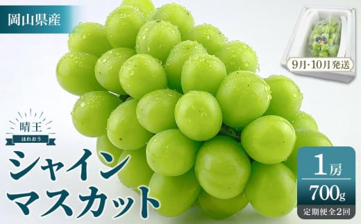 2025年　先行予約　受付中　シャインマスカット　晴王　１房　約700g　２回　定期便　9月・10月に1回ずつ発送　【岡山県産 種無し 皮ごと食べる みずみずしい 甘い フレッシュ 9月～10月発送 晴れの国 おかやま ぶどう 葡萄 マスカット 果物大国 彩美菜果 岡山県 倉敷市 おすすめ 人気】 1677465 - 岡山県岡山市