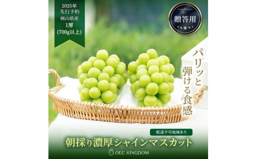 ぶどう 2025年 先行予約 シャイン マスカット 1房（700g以上）贈答クラス  ブドウ 葡萄  岡山県産 国産 フルーツ 果物 ギフト OEC KINGDOM ぶどう家 776502 - 岡山県岡山市