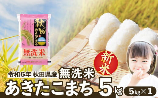 【新米】【令和6年産】秋田県産あきたこまち(無洗米)5kg(5kg×1袋) 55P9219 1697258 - 秋田県大館市