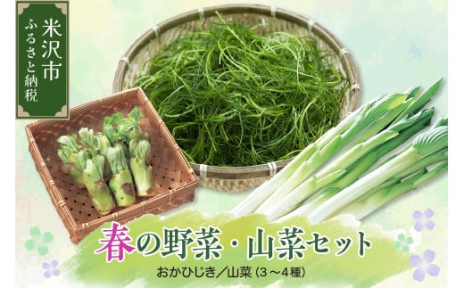 《 先行予約 》 【 令和7年産 】 春 の 山菜セット 伝統野菜 おかひじき 山菜 3～4種類 春野菜 野菜 〔 4月下旬 ～ 5月下旬お届け 〕 2025年産 1321729 - 山形県米沢市