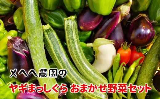 [E014] メヘヘ農園のヤギまっしぐら おまかせ野菜セット