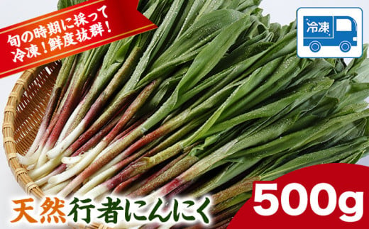 ギョウジャニンニク 冷凍天然行者にんにく 500g 株式会社ユーエム《60日以内に出荷予定(土日祝除く)》北海道 浦幌町 山菜 希少種 者ニンニク 幻の山菜 山菜 山の幸 野菜 疲労回復 健康 483059 - 北海道浦幌町