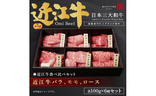 近江牛バラ、モモ、ロース各100g×6種セット / 栗東市 日本三大和牛 国産 肉 和牛 牛肉 1648399 - 滋賀県栗東市